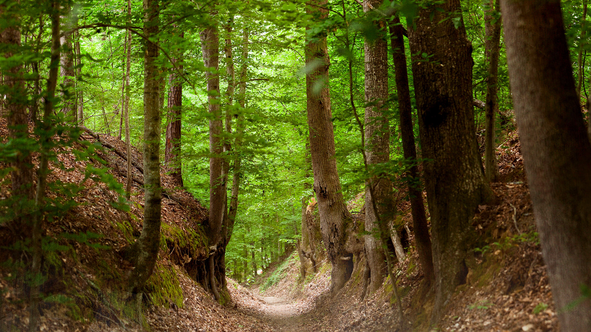 Natchez Trace Chickasaw.tv