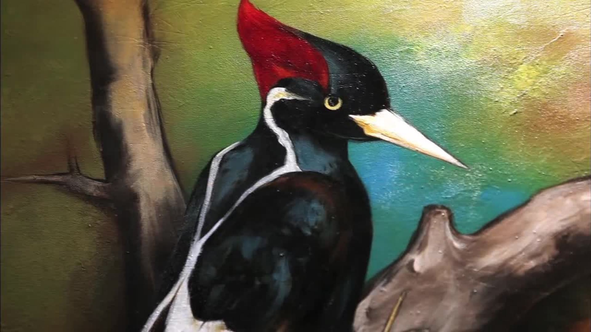 Medicine Birds Chickasaw.tv